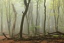 BUITEN BEELD Foto: 193489