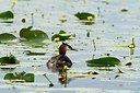 BUITEN BEELD Foto: 193665