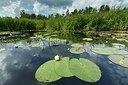 BUITEN BEELD Foto: 193790