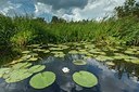 BUITEN BEELD Foto: 193791