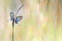 BUITEN BEELD Foto: 193822