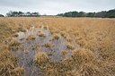 BUITEN BEELD Foto: 193860