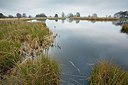 BUITEN BEELD Foto: 193862