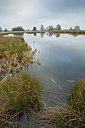 BUITEN BEELD Foto: 193863