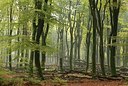 BUITEN BEELD Foto: 193887