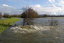 BUITEN BEELD Foto: 193966