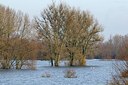 BUITEN BEELD Foto: 193973