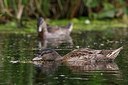 BUITEN BEELD Foto: 194080