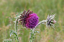 BUITEN BEELD Foto: 194135