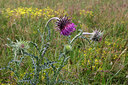 BUITEN BEELD Foto: 194136