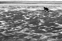 BUITEN BEELD Foto: 194253