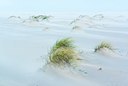 BUITEN BEELD Foto: 194345