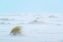 BUITEN BEELD Foto: 194347