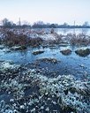 BUITEN BEELD Foto: 194448