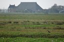 BUITEN BEELD Foto: 194589
