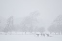BUITEN BEELD Foto: 194779