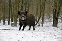 BUITEN BEELD Foto: 194844