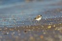 BUITEN BEELD Foto: 194853