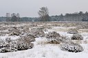 BUITEN BEELD Foto: 194858