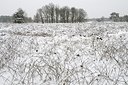BUITEN BEELD Foto: 194865