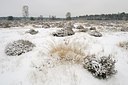 BUITEN BEELD Foto: 194871