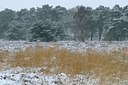 BUITEN BEELD Foto: 194876