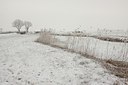 BUITEN BEELD Foto: 195009
