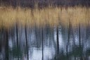 BUITEN BEELD Foto: 195085