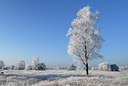 BUITEN BEELD Foto: 195098