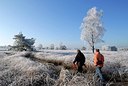 BUITEN BEELD Foto: 195107