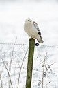 BUITEN BEELD Foto: 195157