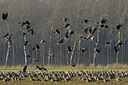 BUITEN BEELD Foto: 195262