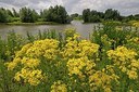 BUITEN BEELD Foto: 195464