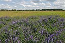 BUITEN BEELD Foto: 195465