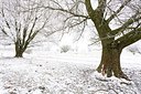 BUITEN BEELD Foto: 195485