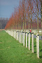 BUITEN BEELD Foto: 195581