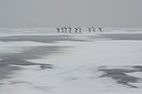 BUITEN BEELD Foto: 195620