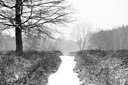 BUITEN BEELD Foto: 195634