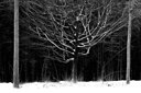 BUITEN BEELD Foto: 195643