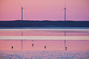 BUITEN BEELD Foto: 195674