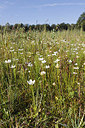 BUITEN BEELD Foto: 195690