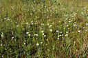 BUITEN BEELD Foto: 195695