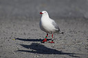 BUITEN BEELD Foto: 195751