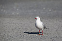 BUITEN BEELD Foto: 195752