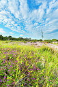 BUITEN BEELD Foto: 195776