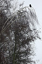BUITEN BEELD Foto: 195830