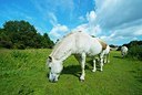 BUITEN BEELD Foto: 195857