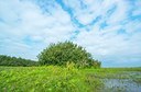 BUITEN BEELD Foto: 195867