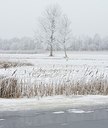 BUITEN BEELD Foto: 195872