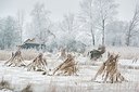 BUITEN BEELD Foto: 195873